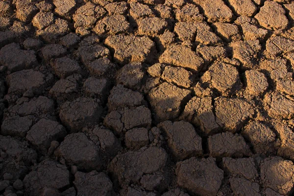 Hadas Tierra Seca Gales Fairyist — Foto de Stock