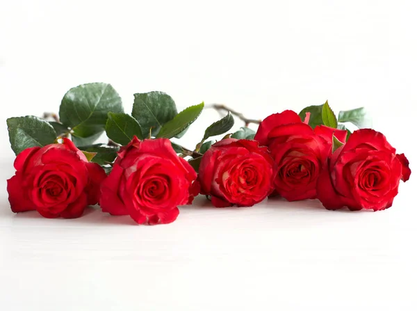 Roses give fotos de stock, imágenes de Roses give sin royalties | Depositphotos Roses give fotos de stock, imágenes de Roses give sin royalties | Depositphotos