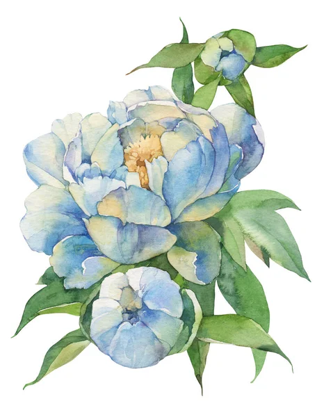 Peonia Fiore Illustrazione Acquerello Isolato Sfondo Bianco — Foto Stock