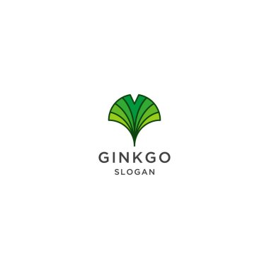 Ginkgo yaprağı logo tasarım şablonu vektörü