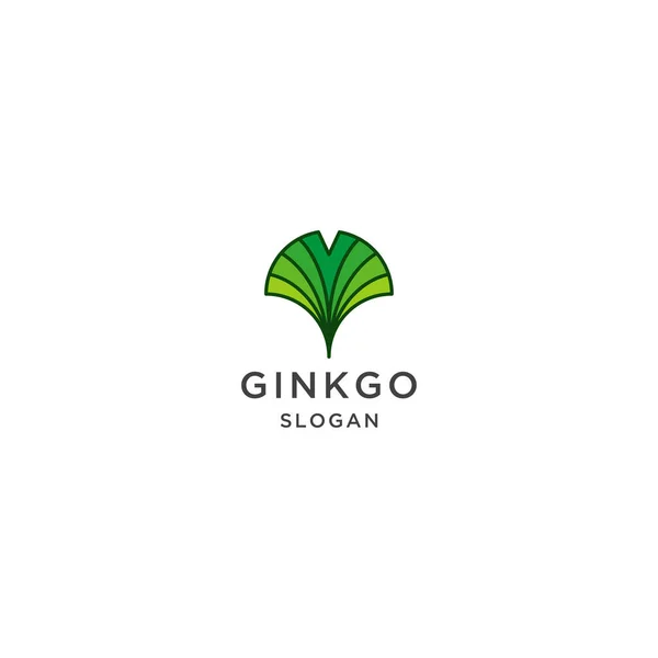 Ginkgo yaprağı logo tasarım şablonu vektörü