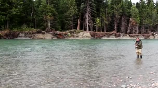 Homem Pesca Com Mosca Com Salmão Final Sua Linha Rio — Vídeo de Stock