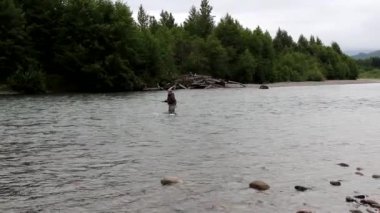 British Columbia, Kanada 'daki Kitimat Nehri' nde casus oyuncu kadrosu