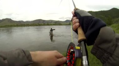 Yazın Moğolistan 'daki Delger Moron Nehri' nde sineklerin balık avladığı sırada savaşan bir Taimen alabalığının çarpıcı görüntüsü.