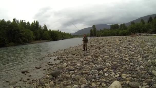캐나다의 강에서 날면서 연어를 — 비디오