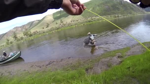 Een Vlieg Vissen Gids Netting Een Reusachtige Taimen Trout Delger — Stockvideo