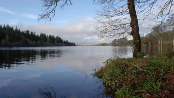 Loch Ken Sebuah Danau Skotlandia Pada Pagi Hari Bulan Desember — Stok Video