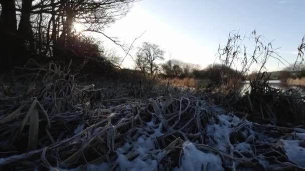 Roll Καλυμμένη Χιόνι Βλάστηση Στο Πλάι Του Ποταμού Dee Στο — Αρχείο Βίντεο