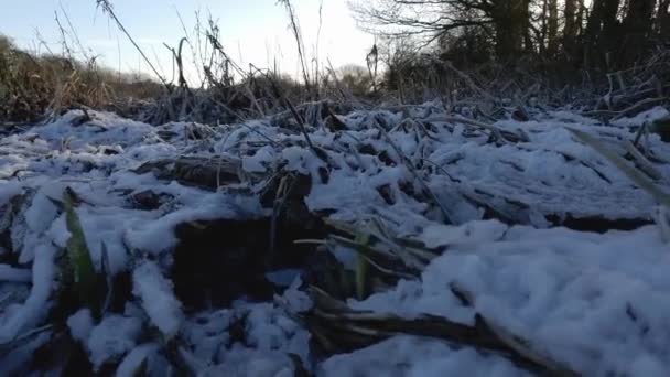 Rolka Pokrytej Śniegiem Roślinności Pobliżu Rzeki Dee Galloway Szkocja — Wideo stockowe