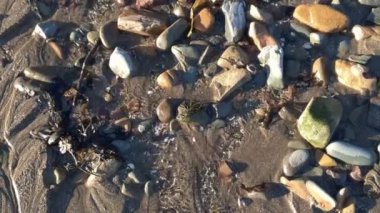 Kumsaldaki çakıl taşlarının arasından denize doğru akan küçük bir su akıntısı.