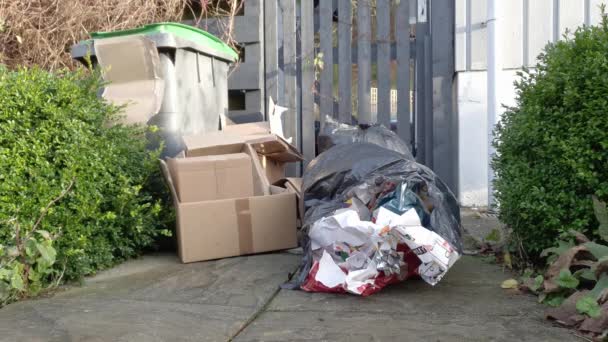 상자와 종이로 이루어진 크리스마스 쓰레기 정원에 쓰레기통이나 쓰레기통 옆에서 — 비디오