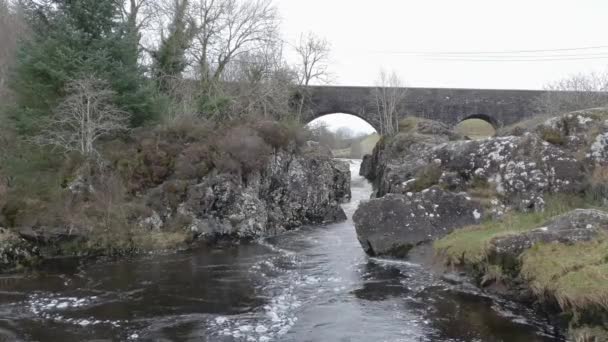 Sebuah Kolam Berbatu Bawah Jembatan Sungai Skotlandia Air Ken Musim — Stok Video