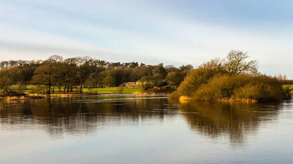 Reflection River Dee Lamb Island Threave Estate Sunny Winter Day — Fotografia de Stock