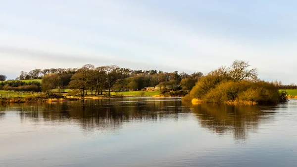 Reflection River Dee Lamb Island Threave Estate Sunny Winter Day — Fotografia de Stock