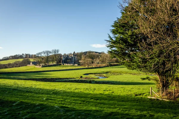 Vista Panoramica Dundrennan Rovine Dell Abbazia Dundrennan Una Mattina Inverno — Foto Stock