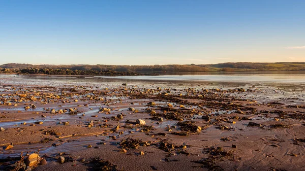Cobble, mud and sea weed at low tide on a cold winter morning at sunrise, Dee estuary, Dhoon Bay, Kirkcudbright, Scotland