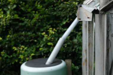 Guttering pipe trapping and diverting water into a water butt in a garden.