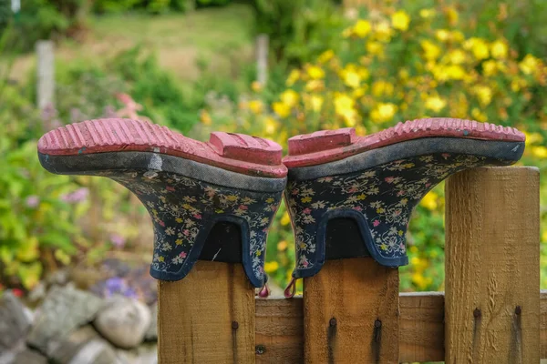 Small wellington boots drying upside down on a picket fence in a garden.