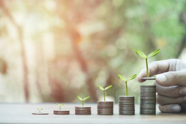 Fabrika, yatırım kârı ve tasarruf kavramından elde edilen kâr artışı.