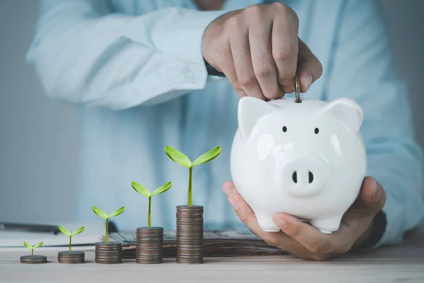 Businessman Holding Putting Coin White Piggy Saving Financial Banking Money — Stock Photo, Image