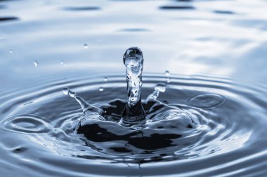 Su halkası yüzeyindeki saydam su damlacığına yakın çekim, doğal konsept.