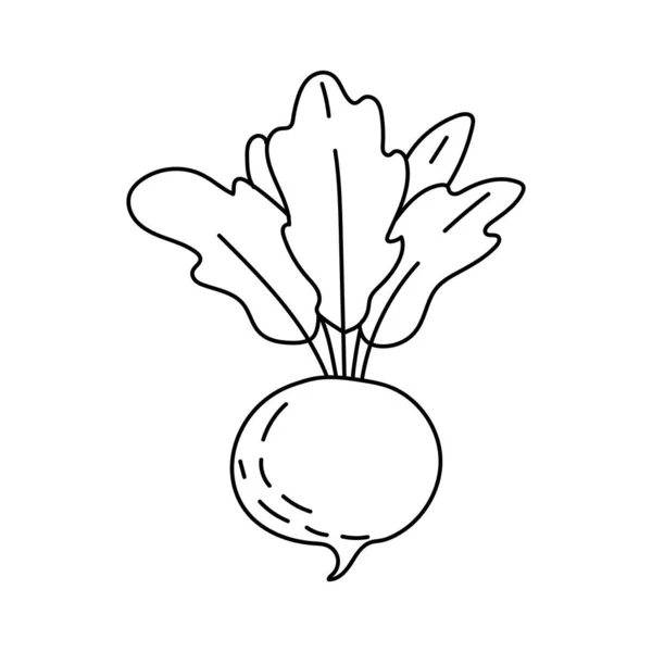 Ícone do doodle do esboço da beterraba isolado no fundo branco. Comida vegetariana saudável. ilustração do esboço vetorial para ícone, web, móvel, infográficos, logotipo, impressão, ícone, cartão, emblema, rótulo, menu de comida — Vetor de Stock