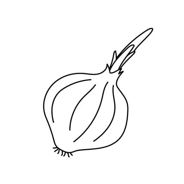 Hand drawn outline onion. Vegetarian healthy food. Vegan, farm, organic, natural. Vector illustration for icon, logo, print, icon, card, emblem, label, food menu — Stockový vektor