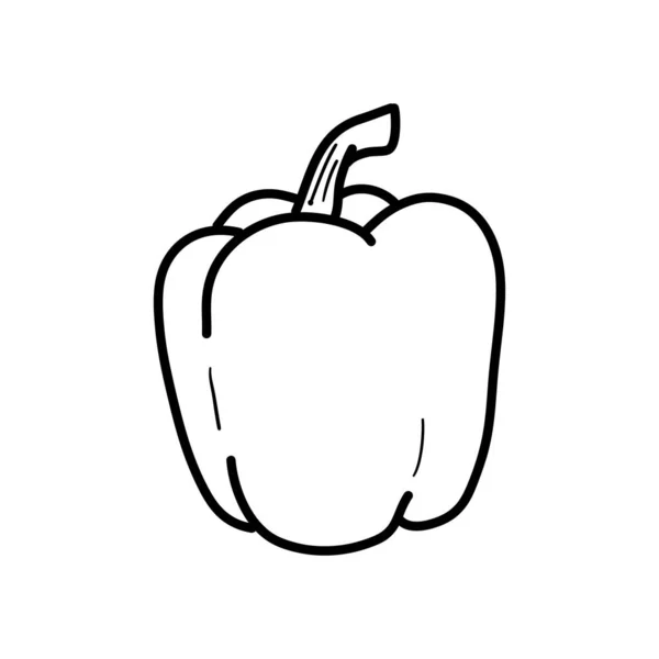 Peppar vektor kontur ikon isolerad på vit bakgrund. Vegetarisk hälsosam mat. Vektor skiss illustration för ikon, webb, mobil, infographics, logotyp, tryck, ikon, kort, emblem, etikett, matmeny — Stock vektor