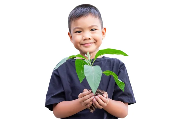 手の選択的な焦点土壌と少し緑の植物を保持するアジアの子供の少年 木を育てる 環境を守れ 地球の日だ 世界の日だ 白地に隔離された — ストック写真