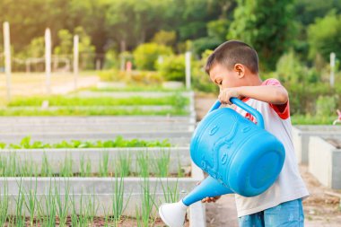 5 yaşında bir oğlan çocuğu. Mutlu Asyalı çocuk bahçede sebzeleri suluyor. Çocuk ve tarım kavramı.