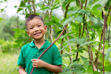 5 yıllık bir portre resmi. Mutlu Asyalı çocuk çiftlikte limon topluyor. Gülümsüyor. Çocuklar ve tarım hakkında öğrenme. Küçük bir çiftçi. 