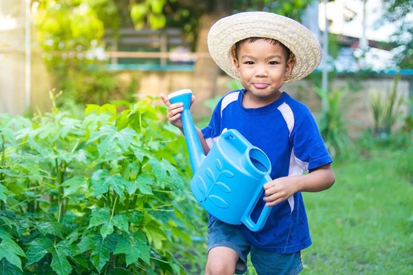 Foto Anak Petani Asia Yang Sedang Menyiram Sayur Sayuran Kebun — Stok Foto