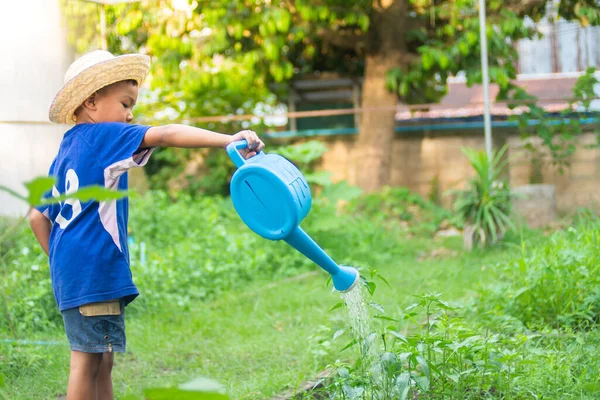 Foto Anak Petani Asia Yang Sedang Menyiram Sayur Sayuran Kebun — Stok Foto