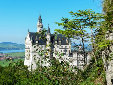 Neuschwanstein.