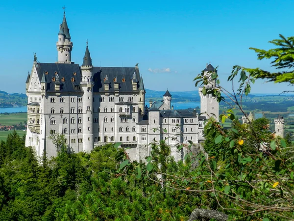 Neuschwanstein.