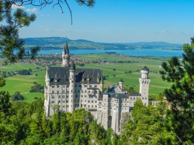 Neuschwanstein.