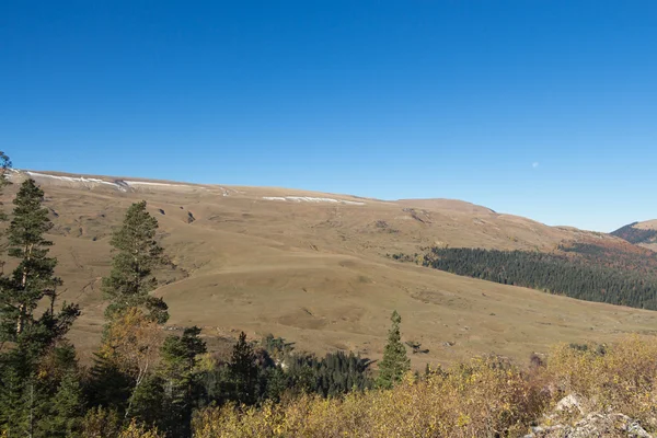 Plateau Lagonaki. — Stock Photo, Image