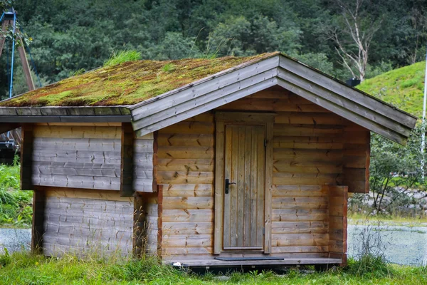 Norveç ev.