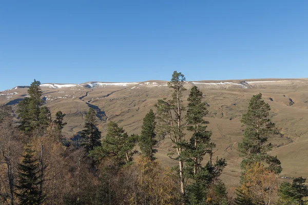 Plateau Lagonaki. — Foto Stock