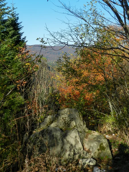 Yayla Lagonaki.