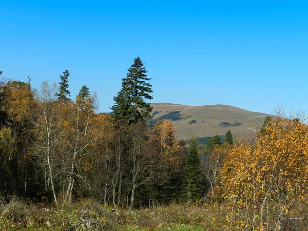 Yayla Lagonaki.