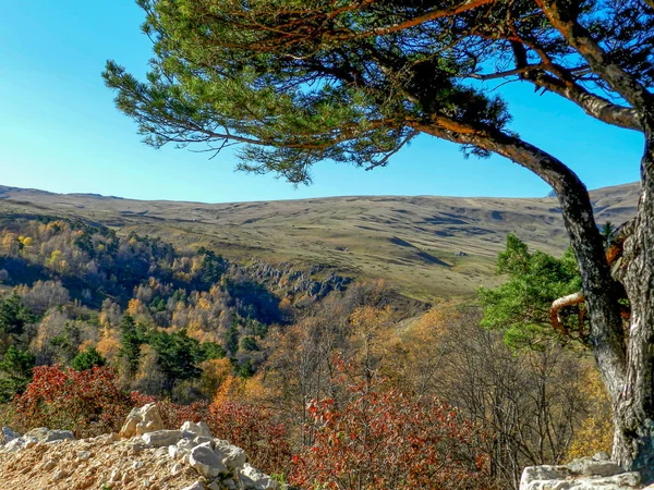 Meseta Lagonaki . — Foto de Stock