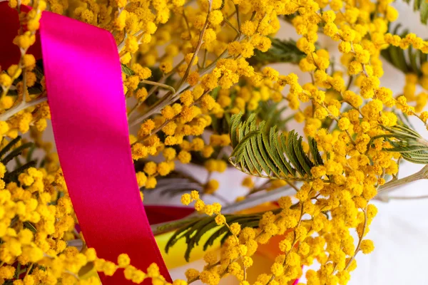 mimoza.