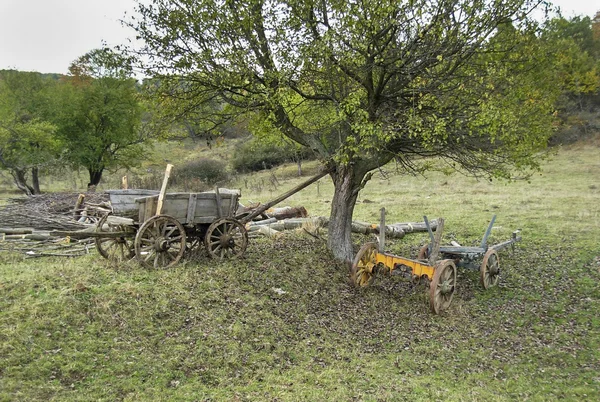 Vecchio carro di legno 2 — Foto Stock