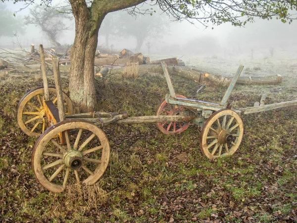 Velho vagão de madeira 1 — Fotografia de Stock