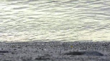 Dalgalar üzerinde kum plaj, Sardunya