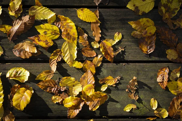 Feuilles jaunes tombent sur la table en bois pendant la saison d'automne — Photo