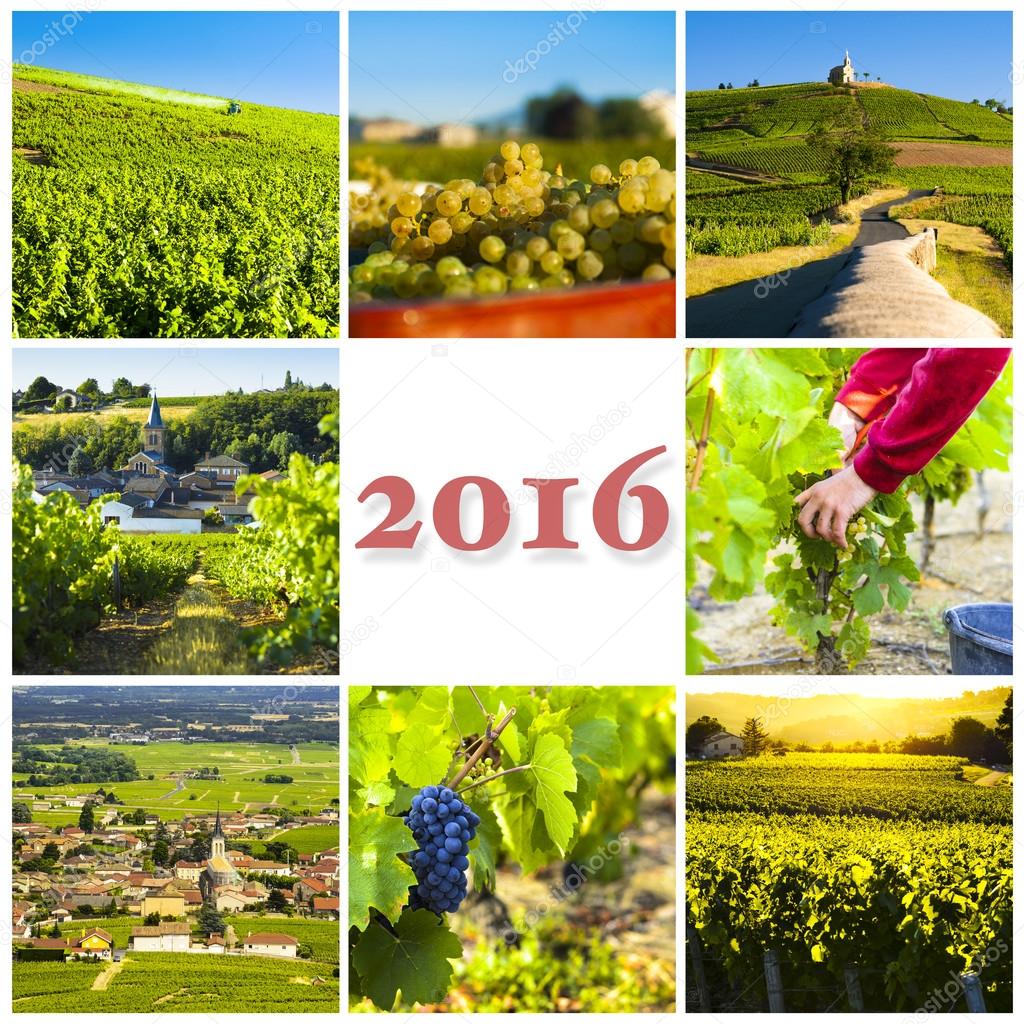 2016 photo collage, Beaujolais land, France