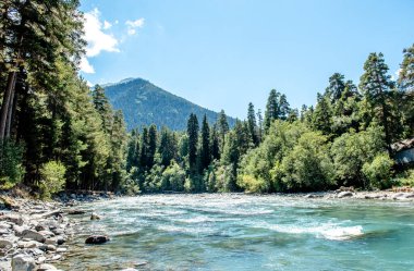 Kuzey Kafkasya 'nın sonsuz dağlarındaki dağ nehri. Parlak güneşli bir gün. Mavi gökyüzü. Dağlar ve kozalaklı orman 