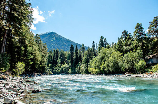 Mountain river in the endless mountains of the North Caucasus. A bright sunny day. Blue sky. Mountains and coniferous forest 